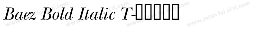 Baez Bold Italic T字体转换